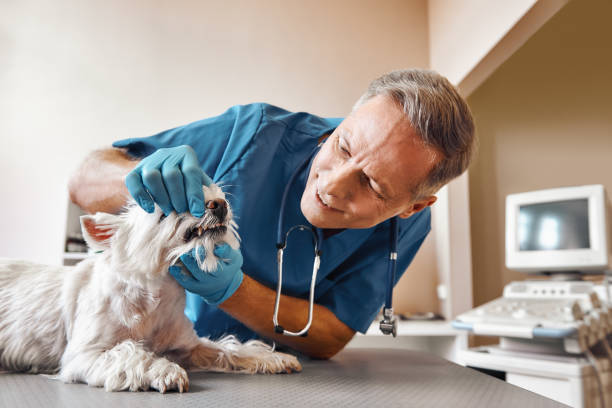 Best Broken Tooth Emergency  in Markesan, WI